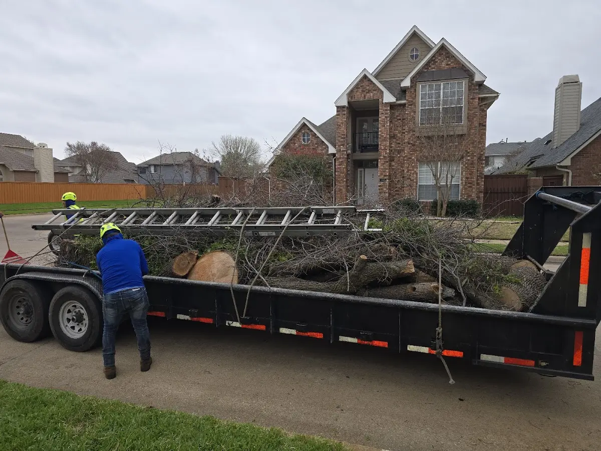 Expert Tree Removal with proper safety equipment in Richton Park